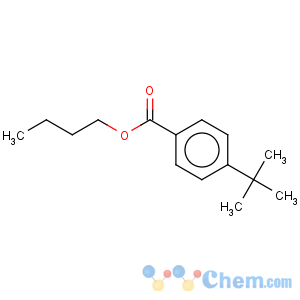 CAS No:94134-32-4 Benzoicacid, 4-(1,1-dimethylethyl)-, butyl ester