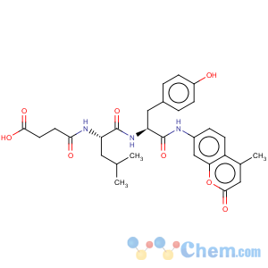 CAS No:94367-20-1 L-Tyrosinamide,N-(3-carboxy-1-oxopropyl)-L-leucyl-N-(4-methyl-2-oxo-2H-1-benzopyran-7-yl)-