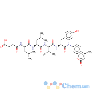 CAS No:94367-21-2 L-Tyrosinamide,N-(3-carboxy-1-oxopropyl)-L-leucyl-L-leucyl-L-valyl-N-(4-methyl-2-oxo-2H-1-benzopyran-7-yl)-