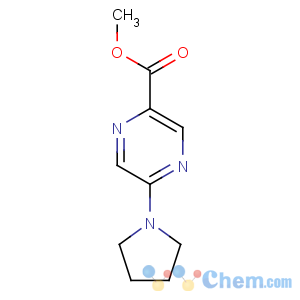 CAS No:944133-94-2 methyl 5-pyrrolidin-1-ylpyrazine-2-carboxylate