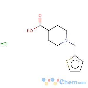 CAS No:944450-84-4 1-(thien-2-ylmethyl)piperidine-4-carboxylic acid hydrochloride hydrate 97