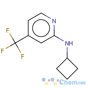 CAS No:944580-79-4 Cyclobutyl-(4-trifluoromethyl-pyridin-2-yl)-amine