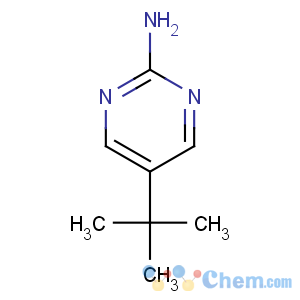CAS No:94615-68-6 5-tert-butylpyrimidin-2-amine