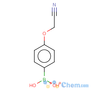 CAS No:947533-23-5 4-Cyanomethoxyphenylboronic acid