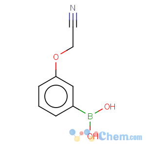 CAS No:947533-25-7 3-Cyanomethoxyphenylboronic acid