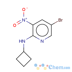 CAS No:947534-30-7 5-Bromo-3-nitro-pyridin-2-yl)-cyclobutyl-amine