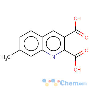 CAS No:948291-03-0 7-methylquinoline-2,3-dicarboxylic acid