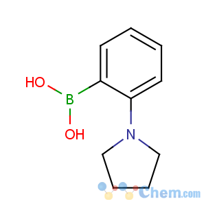 CAS No:948592-78-7 (2-pyrrolidin-1-ylphenyl)boronic acid