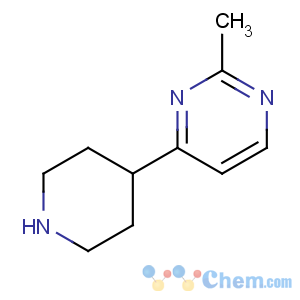 CAS No:949100-33-8 2-methyl-4-piperidin-4-ylpyrimidine