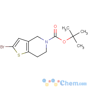 CAS No:949922-62-7 tert-butyl 2-bromo-6,7-dihydro-4H-thieno[3,2-c]pyridine-5-carboxylate