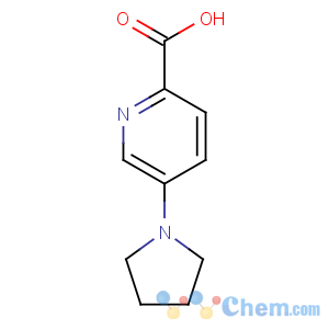 CAS No:950603-19-7 5-pyrrolidin-1-ylpyridine-2-carboxylic acid