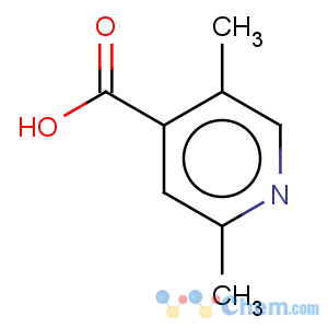 CAS No:951030-57-2 4-Pyridinecarboxylicacid, 2,5-dimethyl-