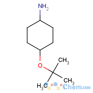 CAS No:951625-97-1 4-[(2-methylpropan-2-yl)oxy]cyclohexan-1-amine