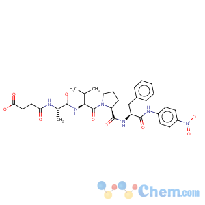 CAS No:95192-38-4 L-Phenylalaninamide,N-(3-carboxy-1-oxopropyl)-L-alanyl-L-valyl-L-prolyl-N-(4-nitrophenyl)- (9CI)