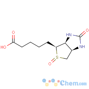 CAS No:954-97-2 biotin sulfoxide