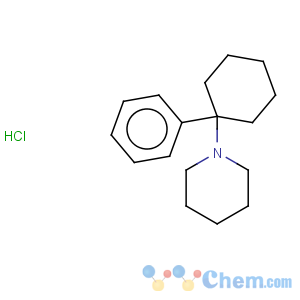 CAS No:956-90-1 Phencyclidine hydrochloride