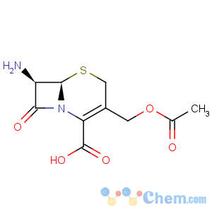 CAS No:957-68-6 7-Aminocephalosporanic acid