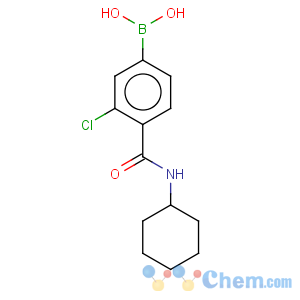 CAS No:957034-65-0 Boronic acid,B-[3-chloro-4-[(cyclohexylamino)carbonyl]phenyl]-
