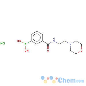 CAS No:957060-89-8 Boronic acid,B-[3-[[[2-(4-morpholinyl)ethyl]amino]carbonyl]phenyl]-, hydrochloride (1:1)