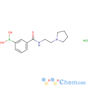 CAS No:957061-03-9 [3-(2-pyrrolidin-1-ylethylcarbamoyl)phenyl]boronic acid