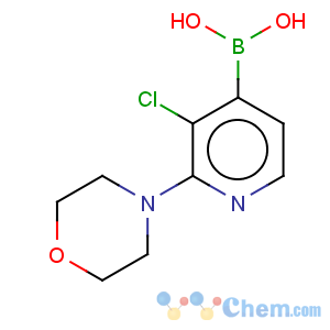 CAS No:957061-04-0 Boronic acid,B-[3-chloro-2-(4-morpholinyl)-4-pyridinyl]-