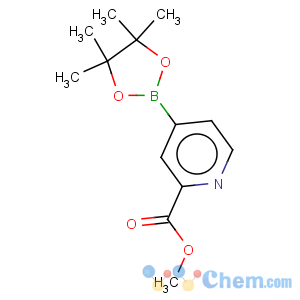 CAS No:957062-72-5 2-(methoxycarbonyl)-4-pyridineboronic acid, pinacol ester