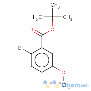 CAS No:957063-12-6 tert-Butyl 2-bromo-5-methoxybenzoate