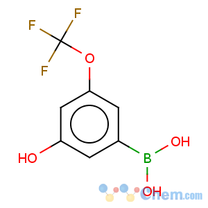 CAS No:957120-22-8 Boronic acid,B-[3-hydroxy-5-(trifluoromethoxy)phenyl]-