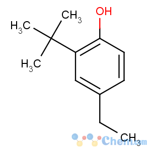 CAS No:96-70-8 2-tert-butyl-4-ethylphenol