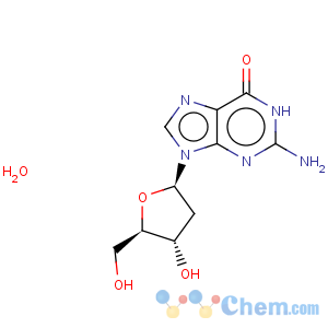 CAS No:961-07-9 2'-Deoxyguanosine monohydrate