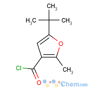 CAS No:96543-75-8 5-tert-butyl-2-methylfuran-3-carbonyl chloride