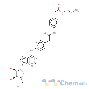 CAS No:96760-69-9 Adenosine amine congener