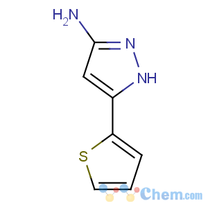 CAS No:96799-03-0 5-thiophen-2-yl-1H-pyrazol-3-amine