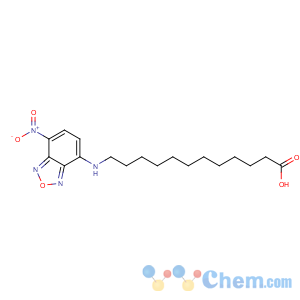 CAS No:96801-39-7 12-[(4-nitro-2,1,3-benzoxadiazol-7-yl)amino]dodecanoic acid