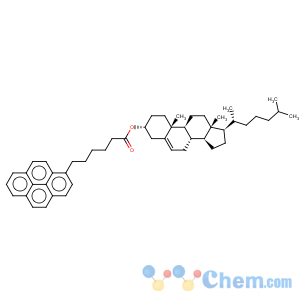 CAS No:96886-70-3 Cholest-5-en-3-ol (3b)-, 3-(1-pyrenehexanoate)