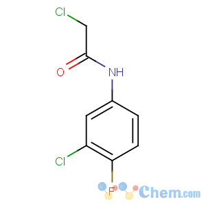 CAS No:96980-64-2 2-chloro-N-(3-chloro-4-fluorophenyl)acetamide