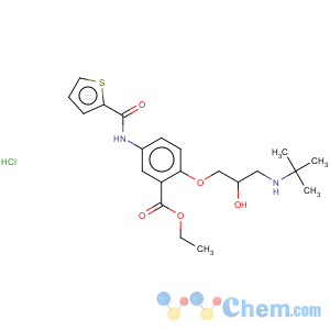 CAS No:97067-66-8 Benzoic acid,2-[3-[(1,1-dimethylethyl)amino]-2-hydroxypropoxy]-5-[(2-thienylcarbonyl)amino]-,ethyl ester, hydrochloride (1:1)