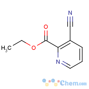 CAS No:97316-55-7 ethyl 3-cyanopyridine-2-carboxylate