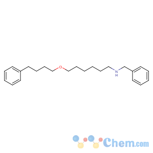 CAS No:97664-55-6 N-benzyl-6-(4-phenylbutoxy)hexan-1-amine