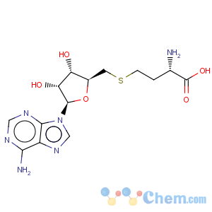 CAS No:979-92-0 L-Homocysteine,S-(5'-deoxyadenosin-5'-yl)-