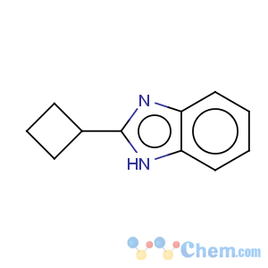 CAS No:97968-80-4 2-Cyclobutylbenzimidazole
