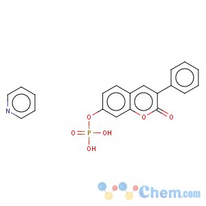 CAS No:97970-92-8 3-PHENYL-7-COUMARINYL PHOSPHATE HEMIPYRIDINE SALT