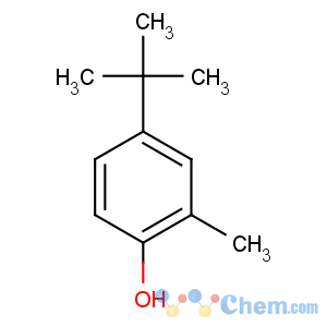 CAS No:98-27-1 4-tert-butyl-2-methylphenol