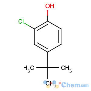 CAS No:98-28-2 4-tert-butyl-2-chlorophenol
