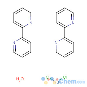 CAS No:98014-14-3 dichlororuthenium