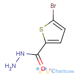 CAS No:98027-27-1 5-bromothiophene-2-carbohydrazide