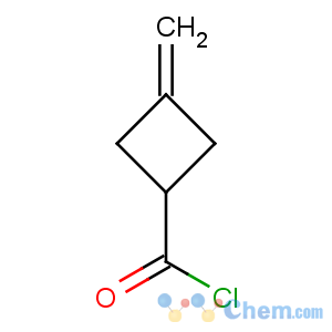 CAS No:98198-78-8 Cyclobutanecarbonylchloride, 3-methylene-
