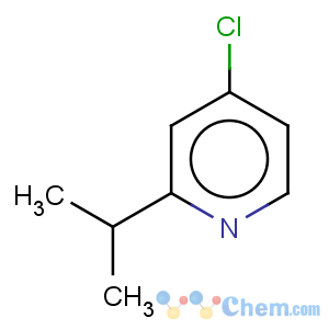 CAS No:98420-91-8 4-chloro-2-isopropylpyridine