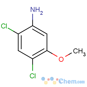 CAS No:98446-49-2 2,4-dichloro-5-methoxyaniline