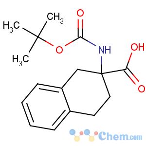 CAS No:98569-12-1 2-[(2-methylpropan-2-yl)oxycarbonylamino]-3,<br />4-dihydro-1H-naphthalene-2-carboxylic acid